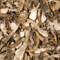 kozlarz-czerwony-krajanka-kl-i-wszystkie1-250g.jpg